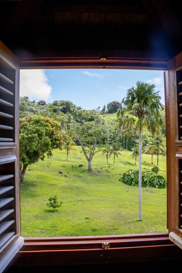 Jardin Malanga Hotel Basse-Terre Ngoại thất bức ảnh