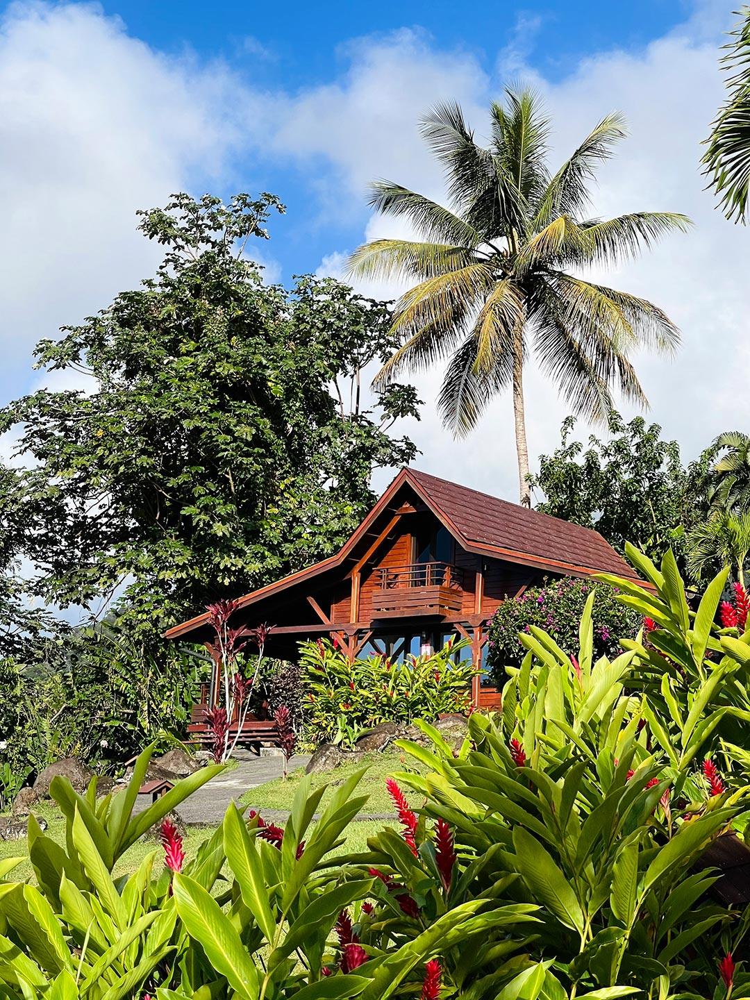 Jardin Malanga Hotel Basse-Terre Ngoại thất bức ảnh
