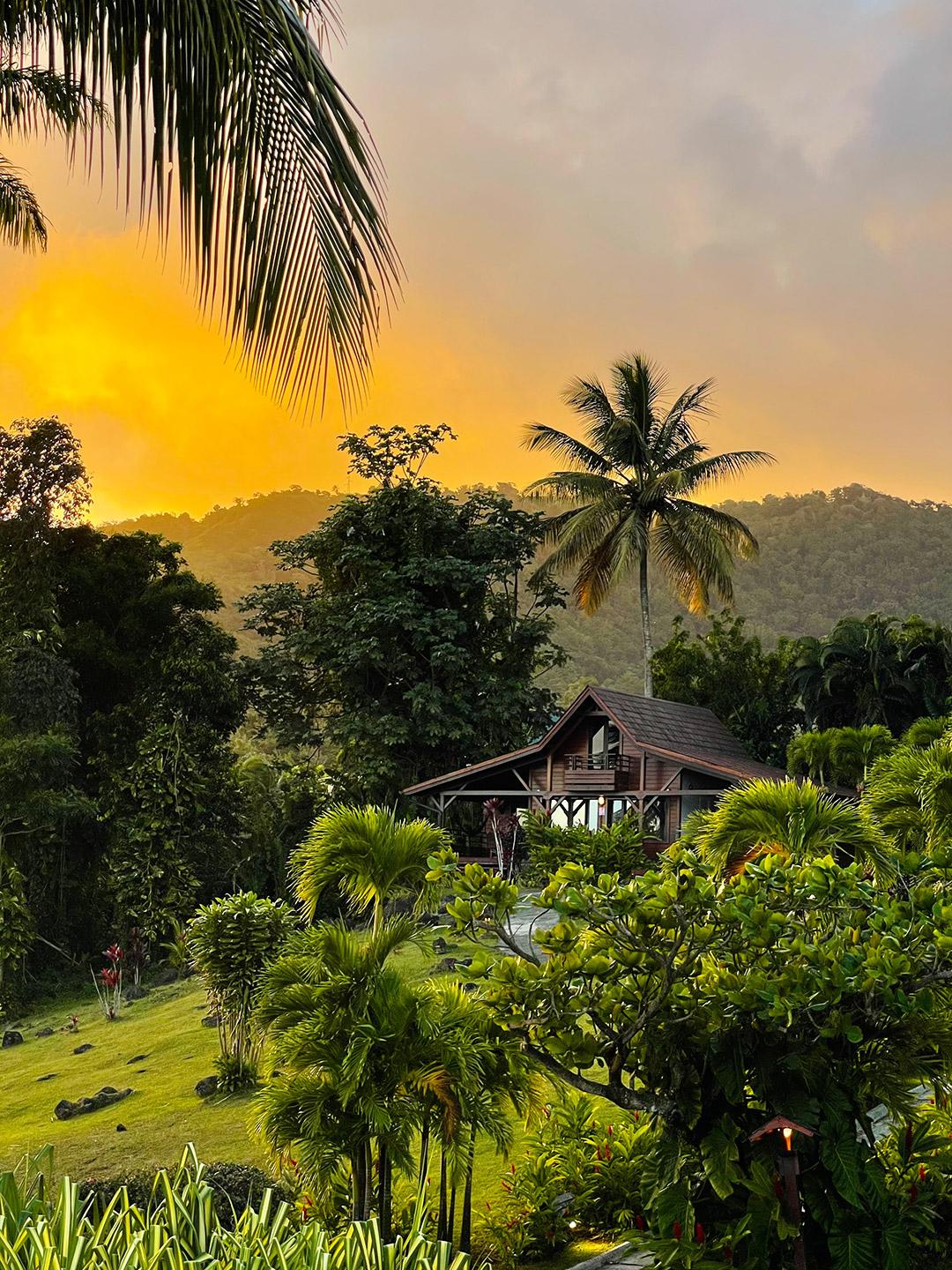 Jardin Malanga Hotel Basse-Terre Ngoại thất bức ảnh