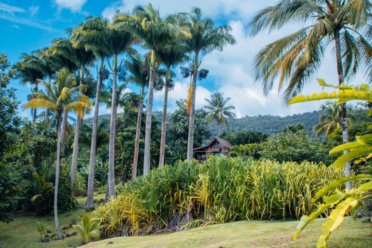 Jardin Malanga Hotel Basse-Terre Ngoại thất bức ảnh