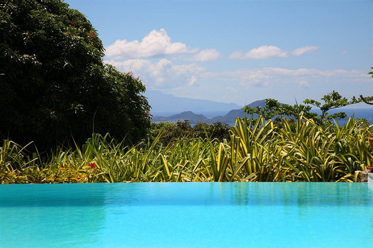 Jardin Malanga Hotel Basse-Terre Ngoại thất bức ảnh